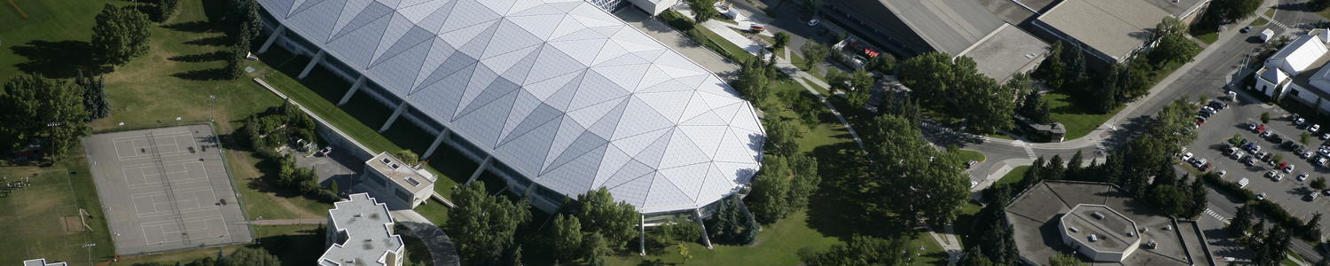 Oval Birds Eye