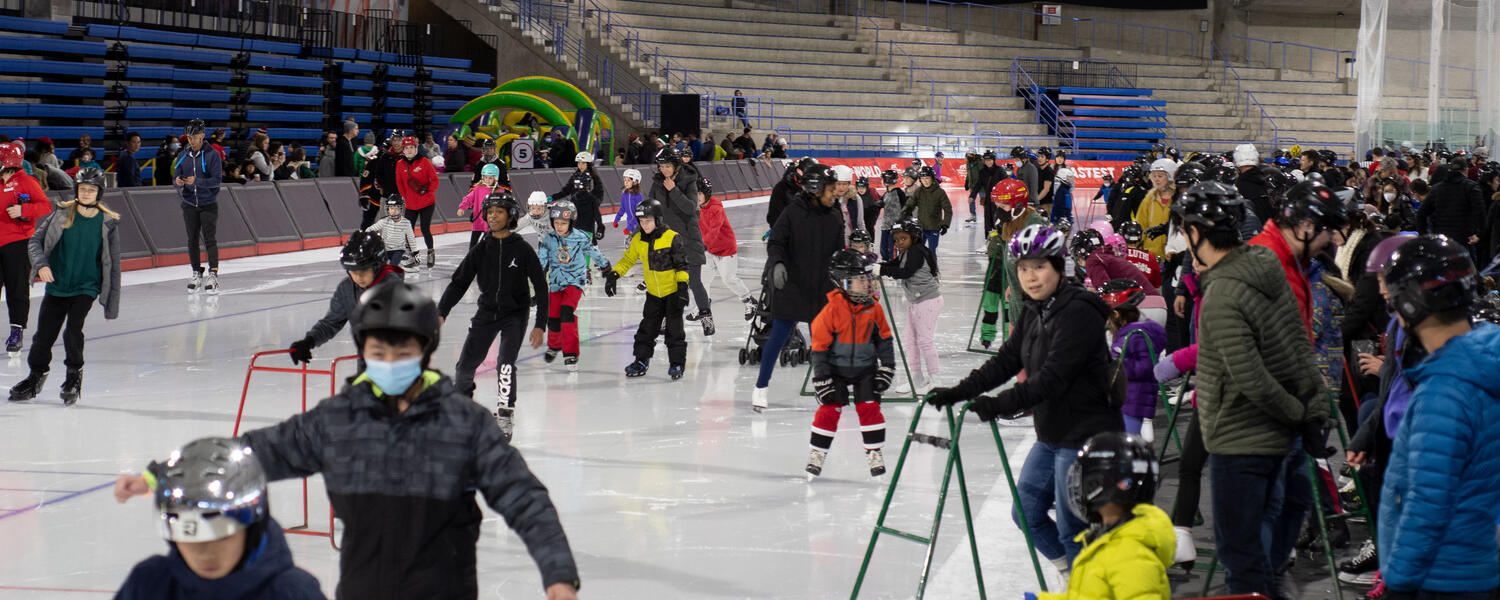 Recreational Public Skating