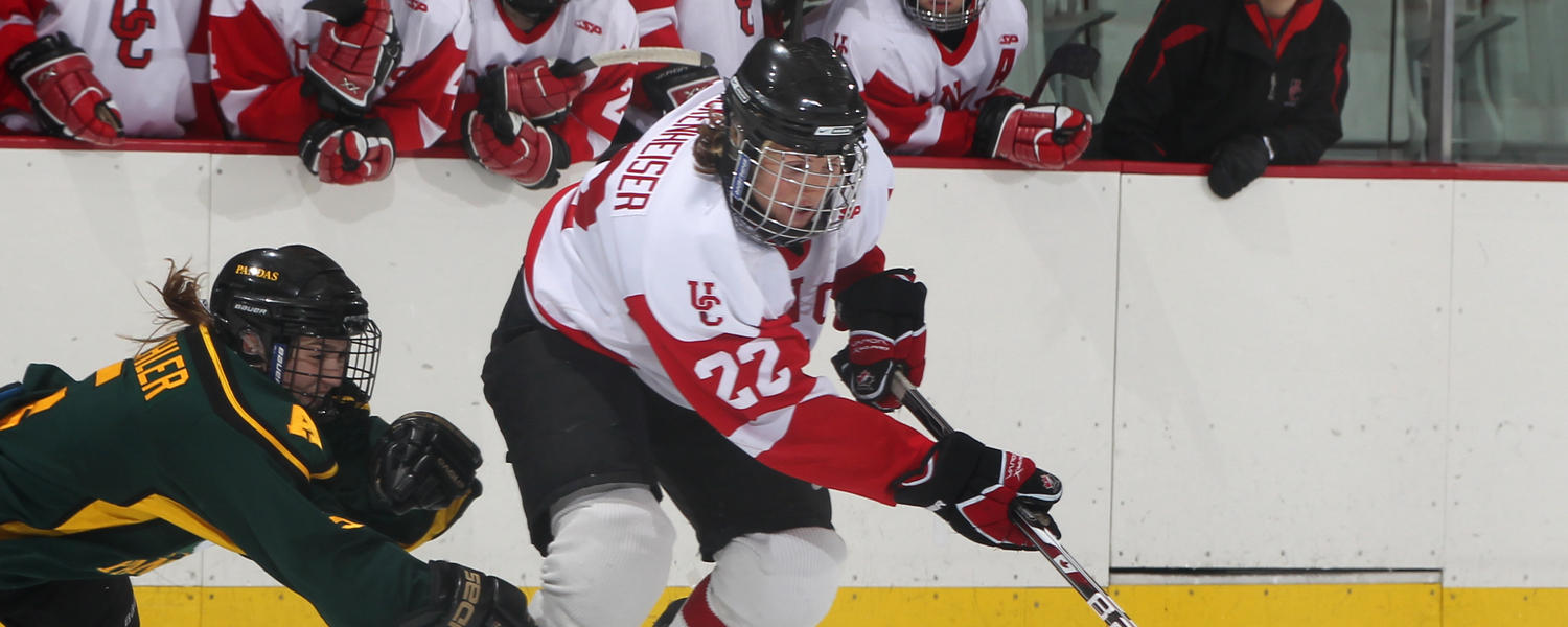 Olympic Oval Hockey Rink