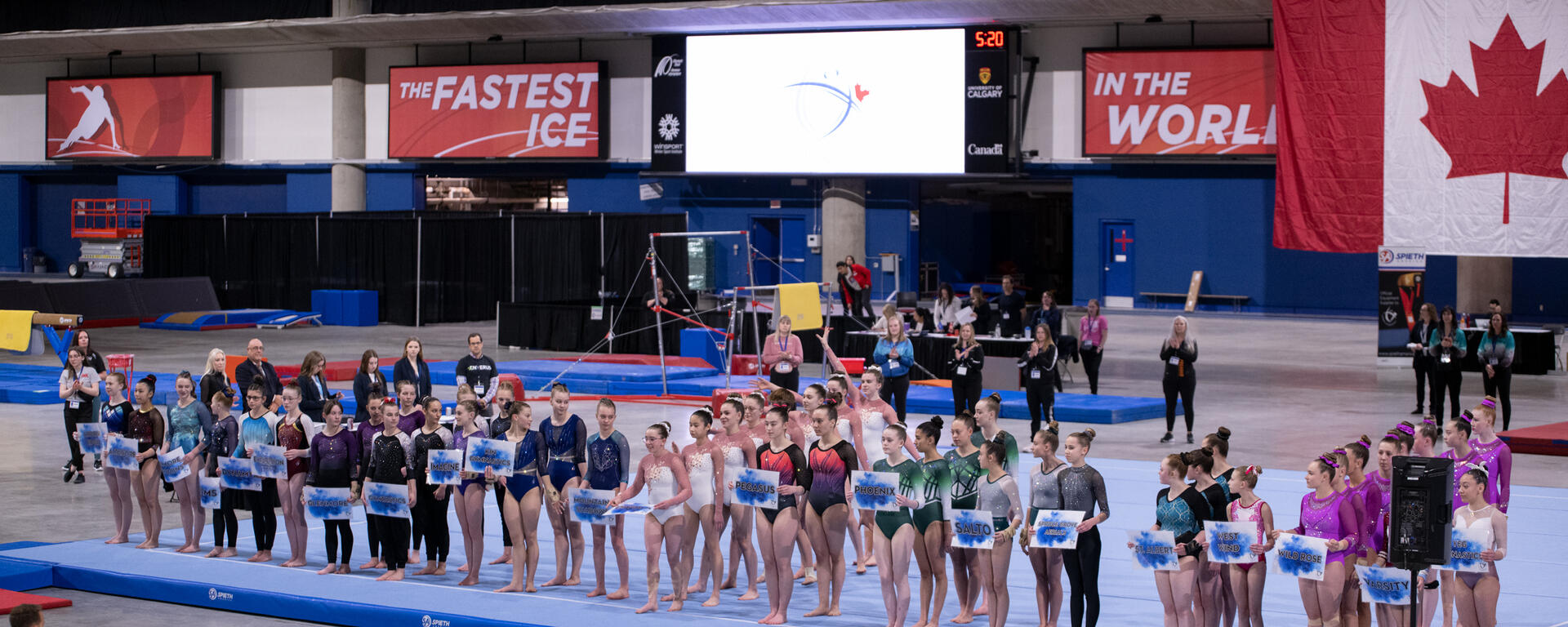 Alberta Gymnastics