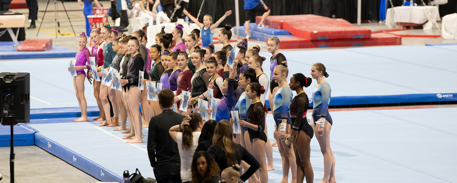Gymnastics