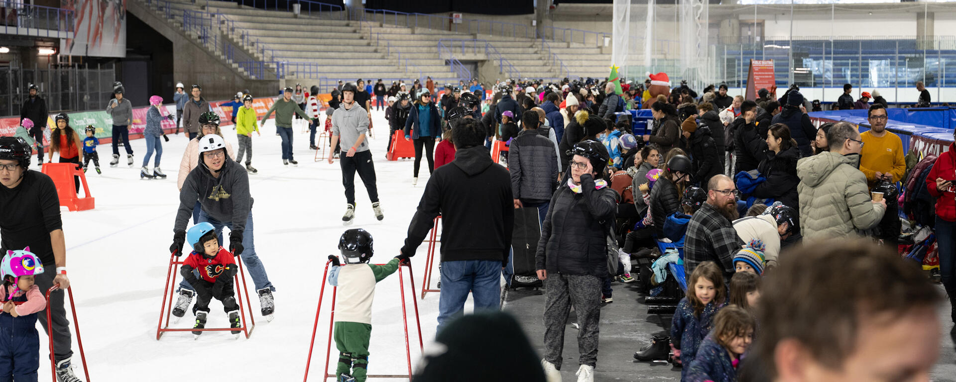 Recreational Public Skating
