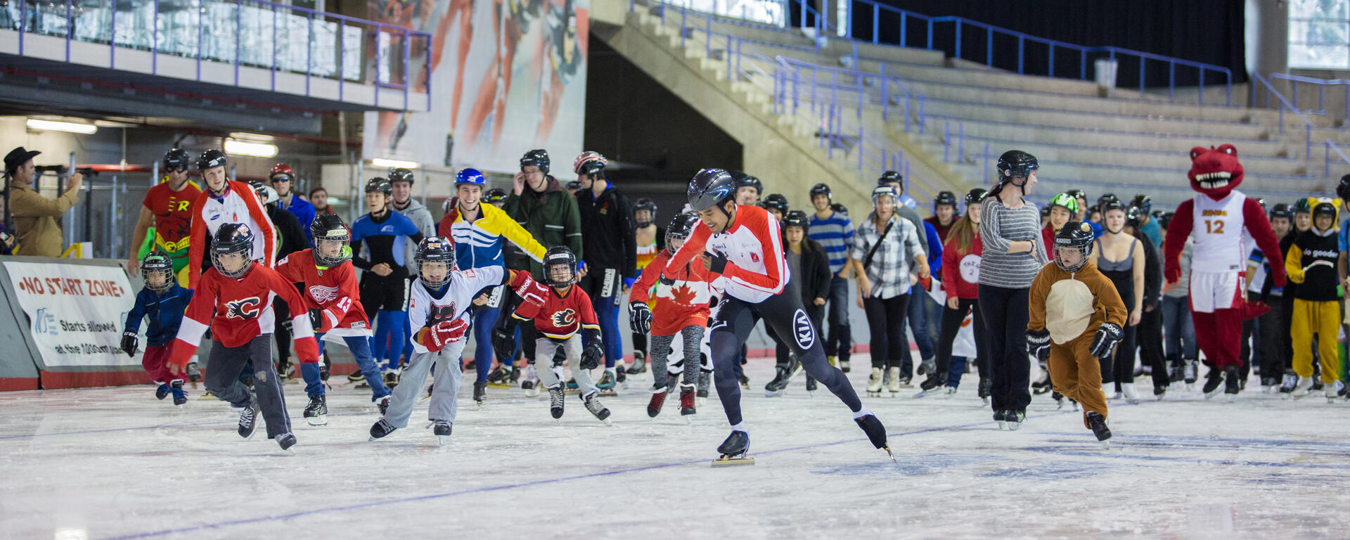 Recreational Public Skating