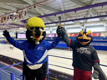 Kumi, the Prehistoric Penguin