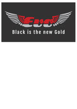 Evo Skates Logo
